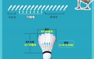 羽毛球凭什么卖到300元？1只鹅造不出1个球