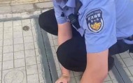 一只大肥羊从烧烤店“逃出生天”后，在汉口闹市逛街，被多名群众报警捉回