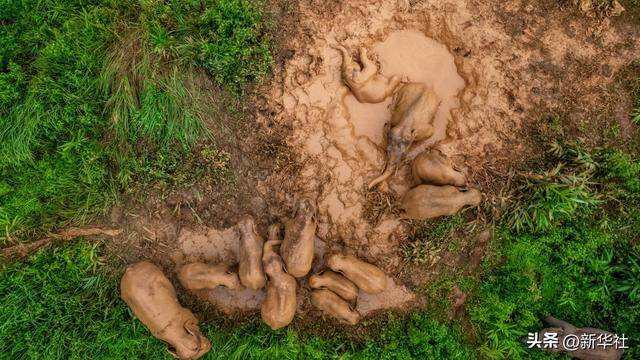 镜观·回响丨西部生态建设：以高水平保护支撑高质量发展