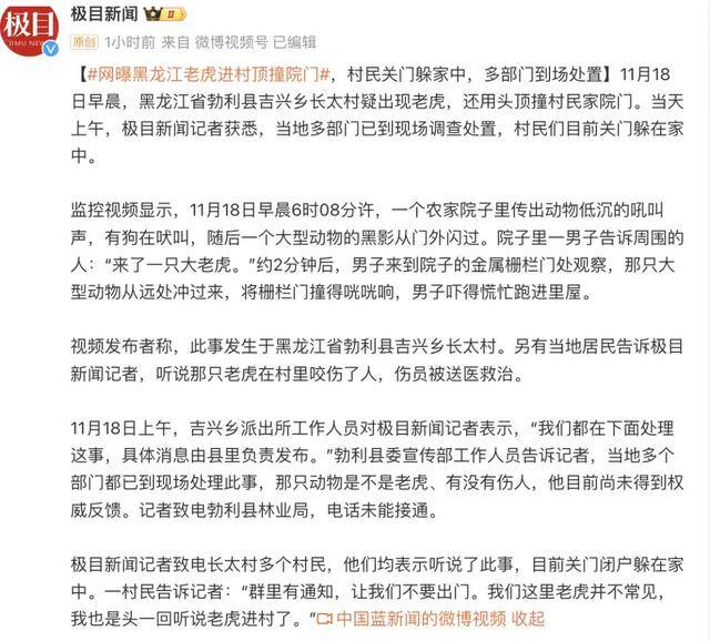 野生东北虎冲撞民宅，有村民被咬伤！当地紧急搜寻