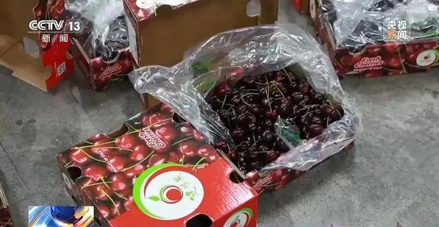 一个月内车厘子批发价腰斩 商家们却并没有更赚钱
