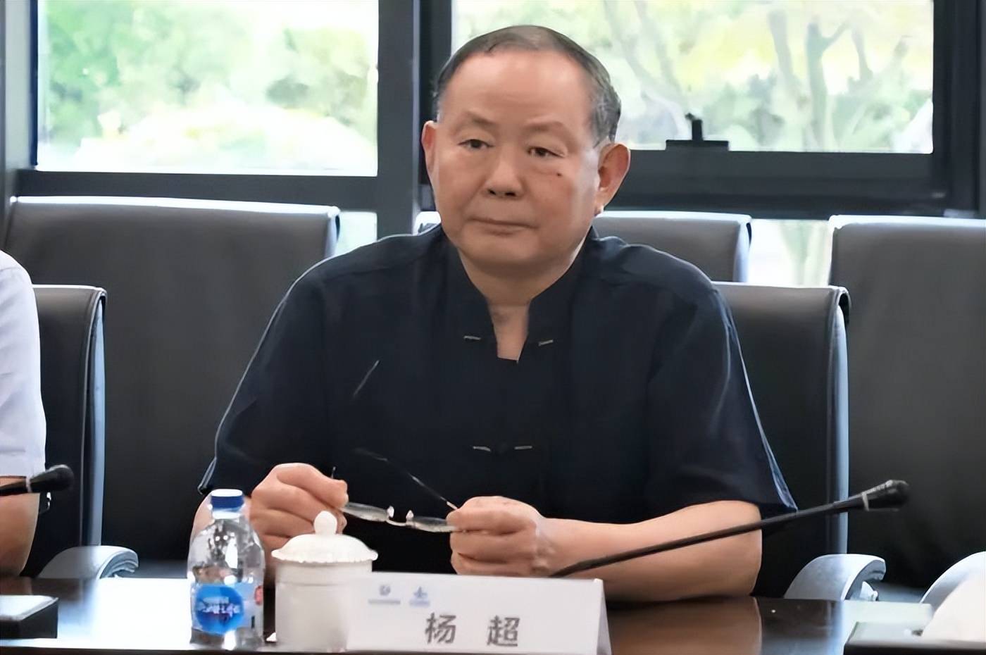 中国人寿原总裁杨超被查