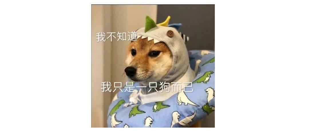 员工上班摔跤骨折被认定工伤！公司：他是喂狗摔的，不能算！我告人社局！法院怎么判→